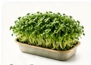 Broccoli microgreens